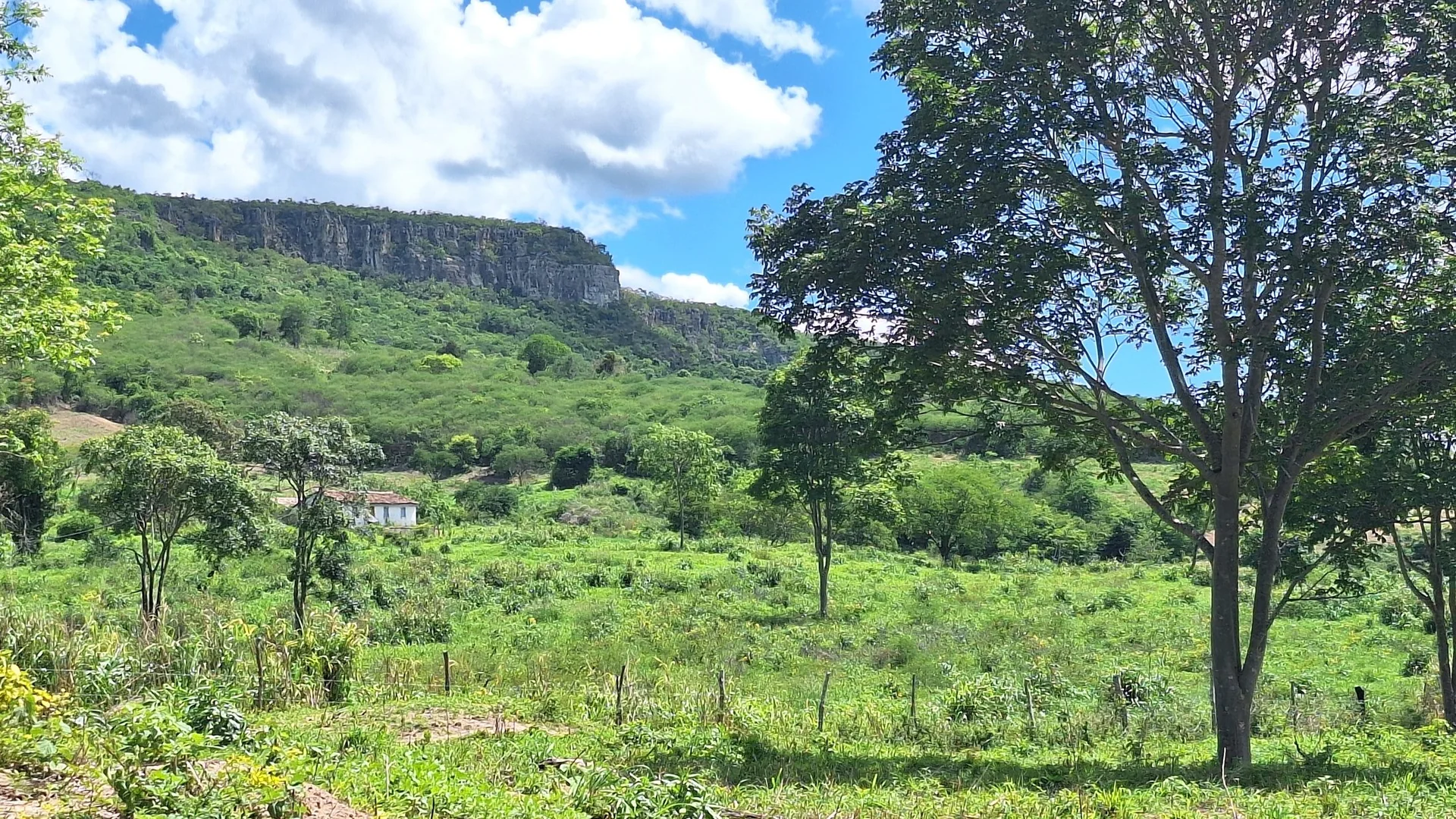 Landscape at the Arapaima Project in Minas Gerais, Brazil